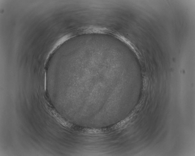 X0000084551219200703091711