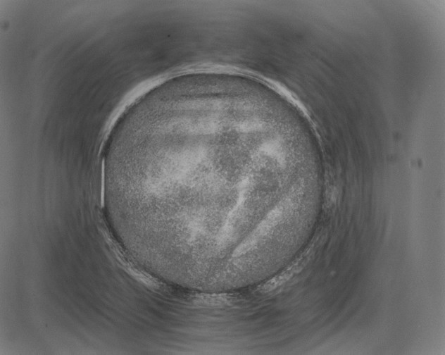 X0000084551223200703091711