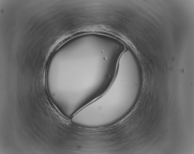 X0000084551224200703091711