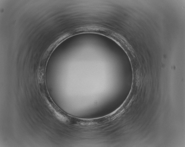 X0000084551225200703091711