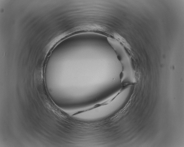 X0000084551226200703091711