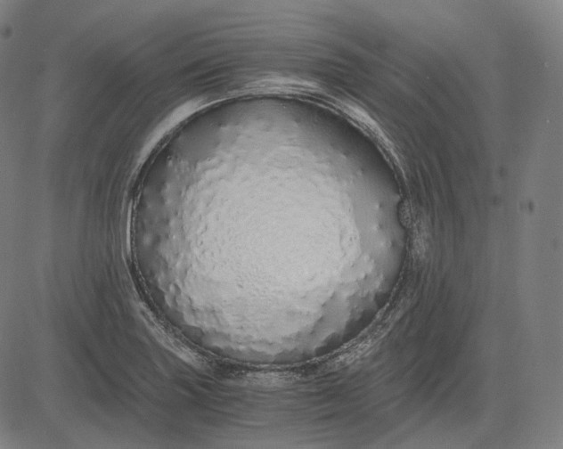 X0000084551227200703091711