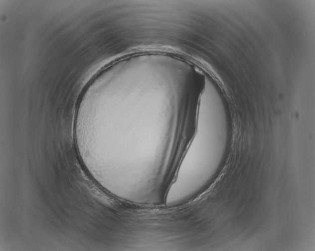 X0000084551228200703091711