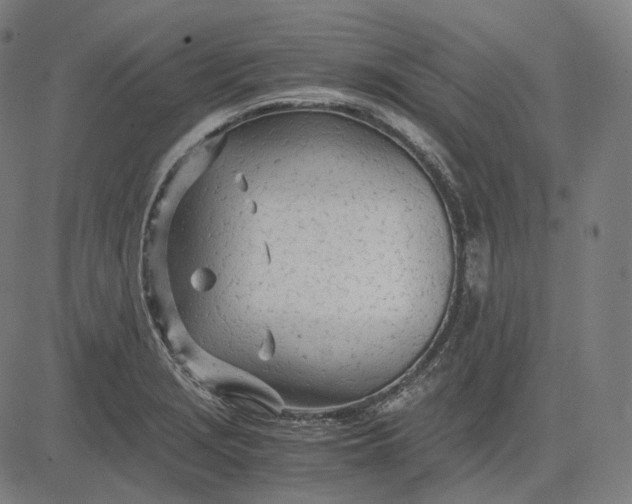 X0000084551229200703091711