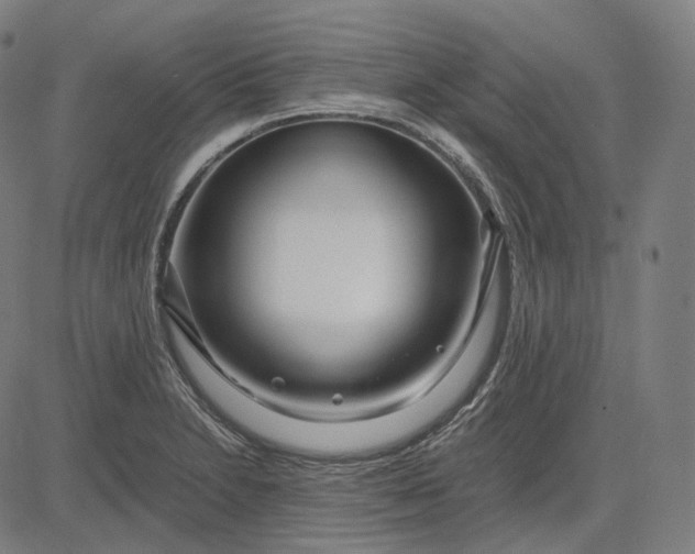 X0000084551230200703091711