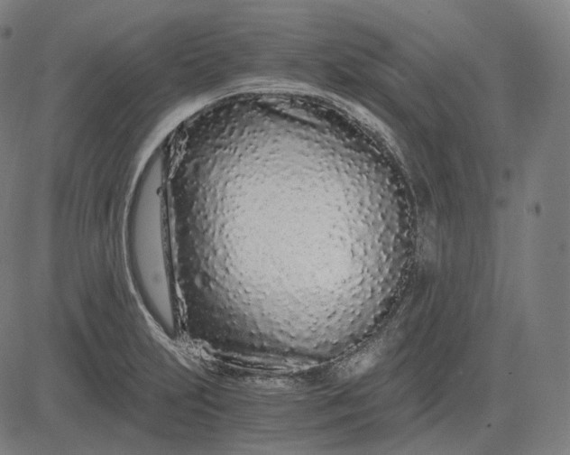 X0000084551231200703091711