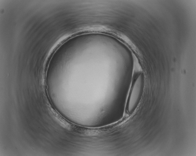 X0000084551232200703091711