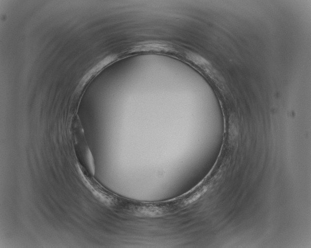 X0000084551233200703091711