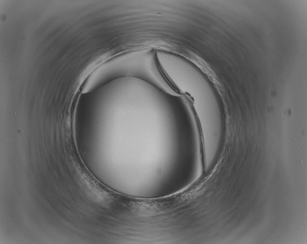 X0000084551234200703091711