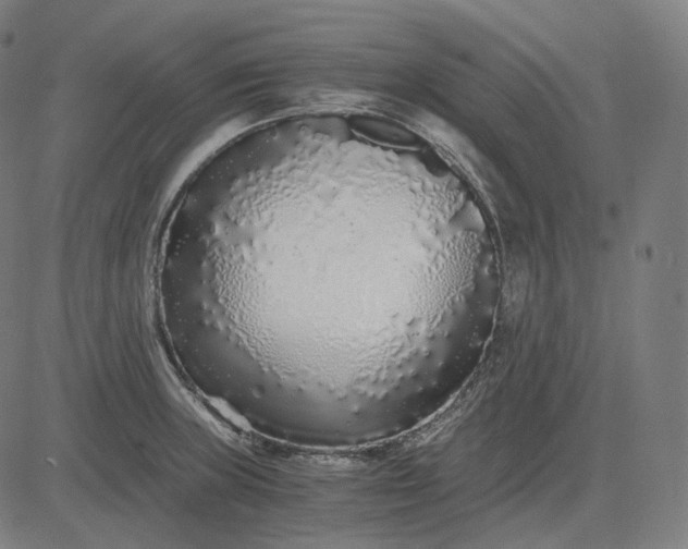 X0000084551235200703091711