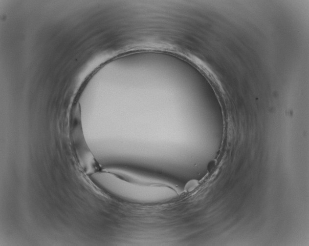 X0000084551238200703091711