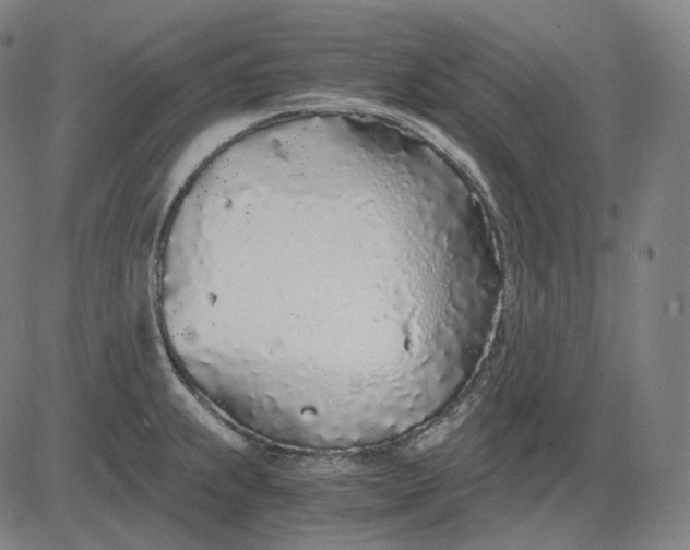 X0000084551239200703091711