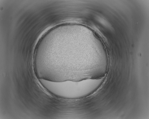 X0000084551240200703091711