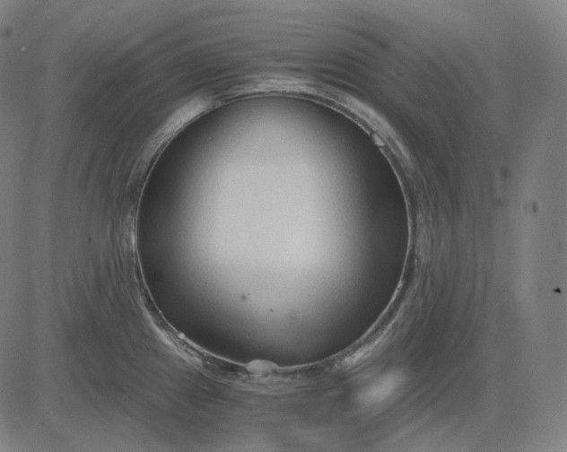 X0000084551241200703091711