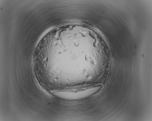 X0000084551243200703091711