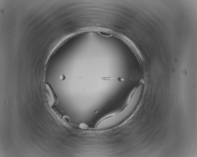 X0000084551244200703091711