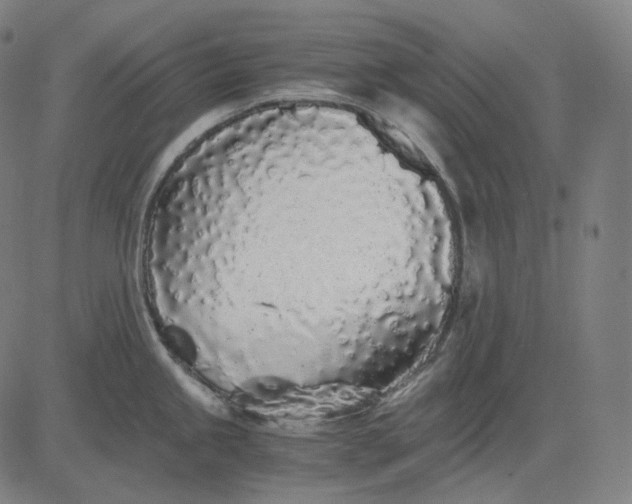 X0000084551245200703091711