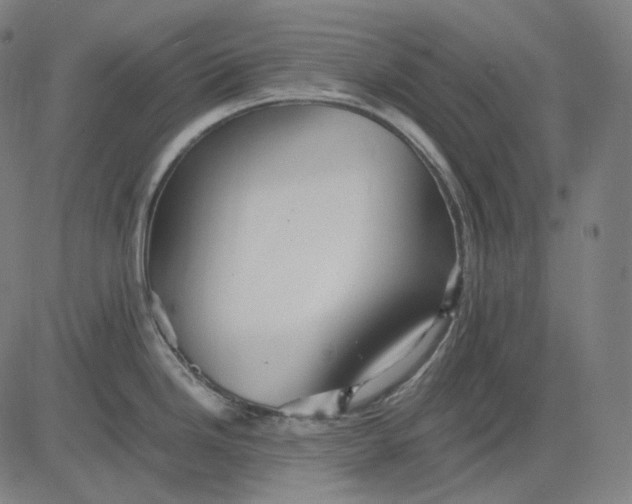 X0000084551246200703091711