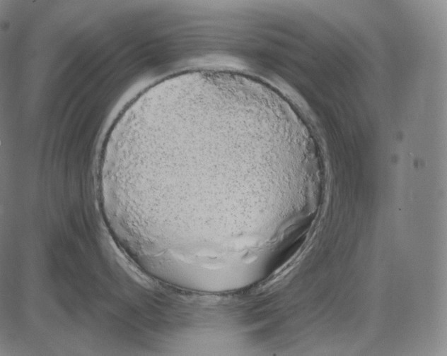 X0000084551248200703091711