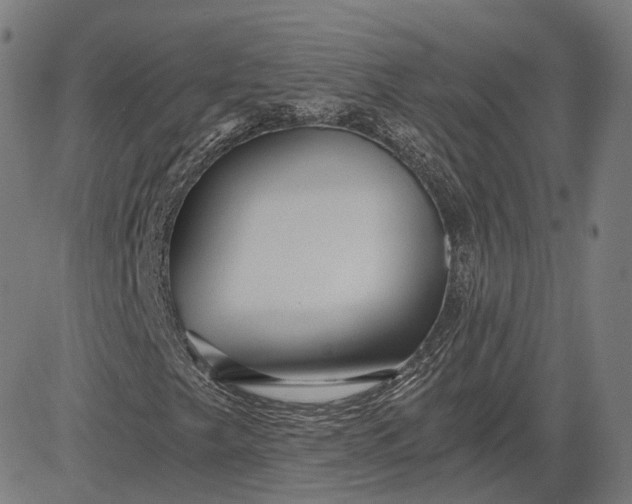 X0000084551249200703091710