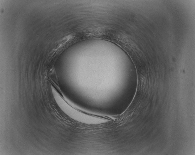 X0000084551250200703091710