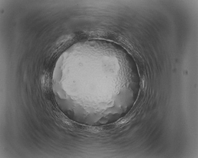 X0000084551251200703091710