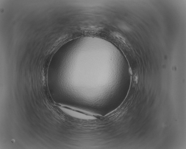 X0000084551252200703091710