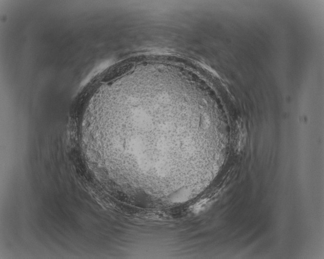 X0000084551255200703091710