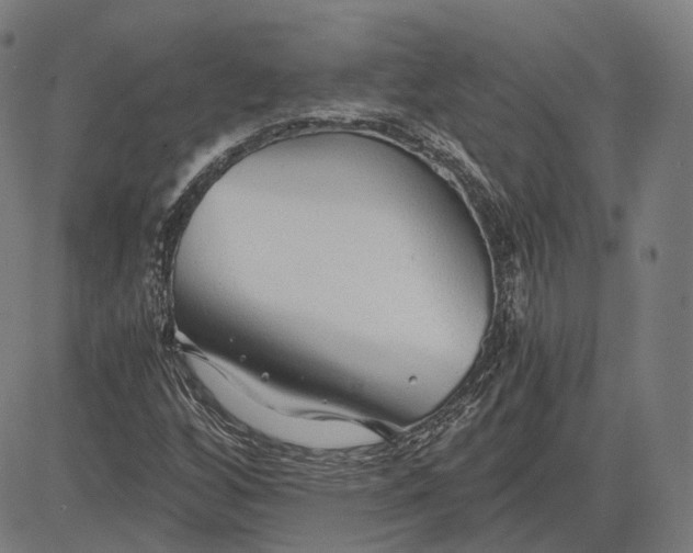 X0000084551256200703091710
