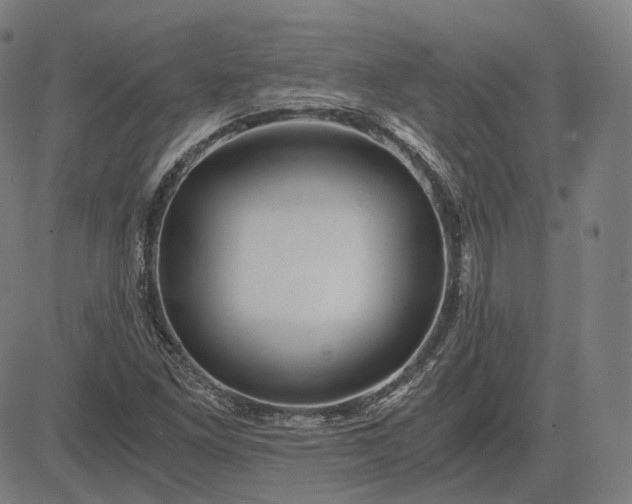 X0000084551261200703091710