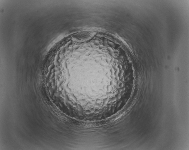 X0000084551263200703091710