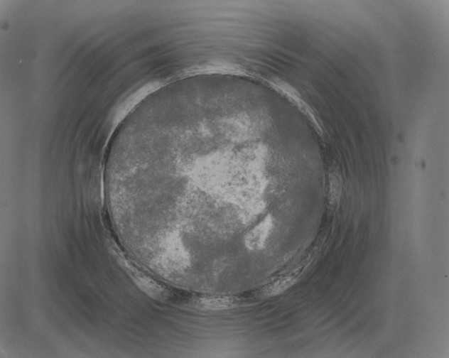 X0000084551274200703091710