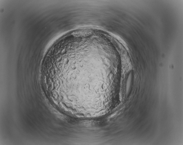 X0000084551279200703091710