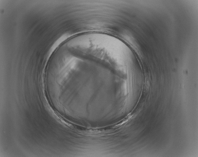 X0000084551291200703091710