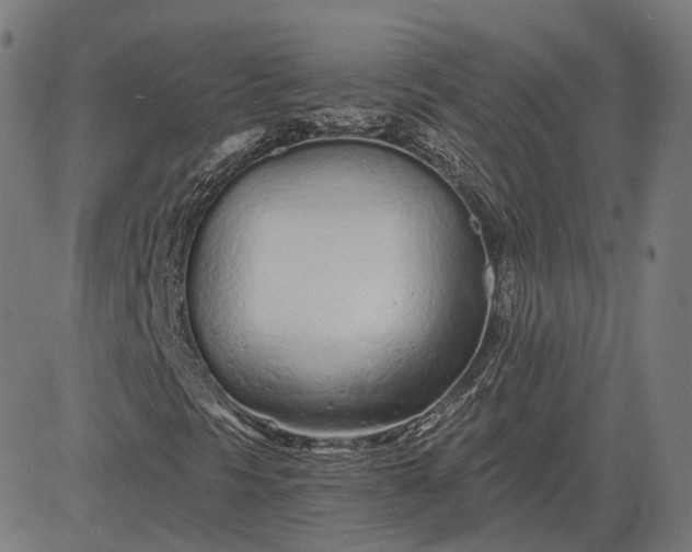 X0000084551297200703091709