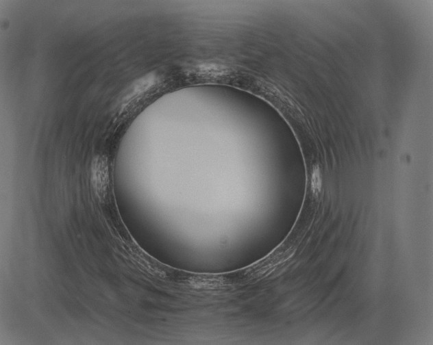 X0000084551299200703091709