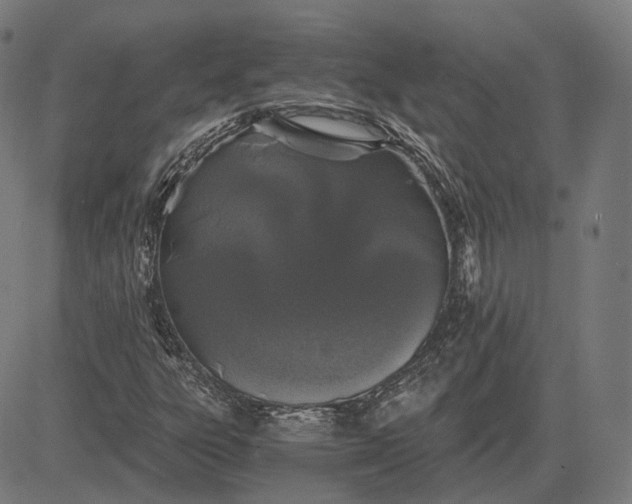 X0000084551303200703091709