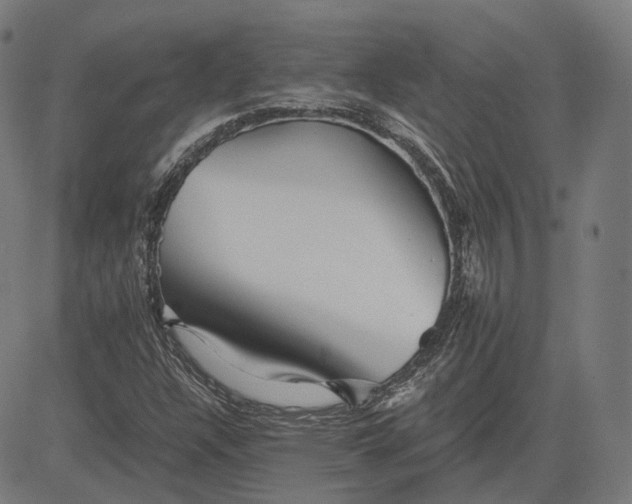 X0000084551304200703091709