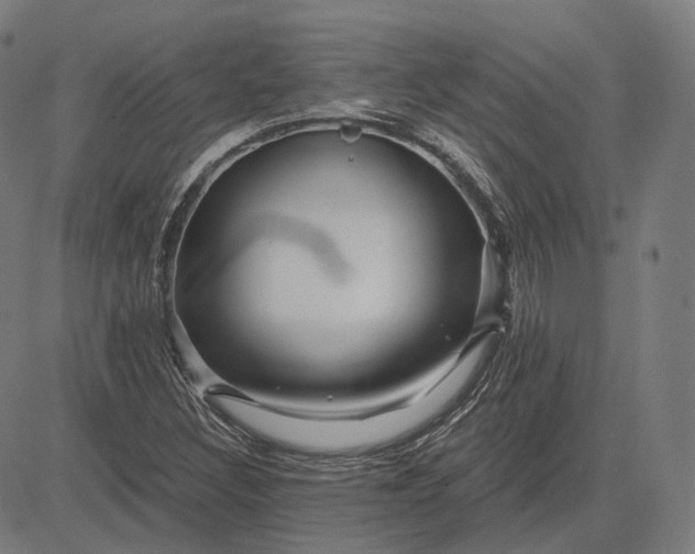 X0000084551308200703091709