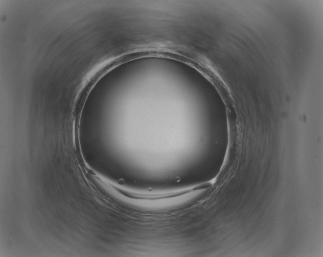 X0000084551320200703091709