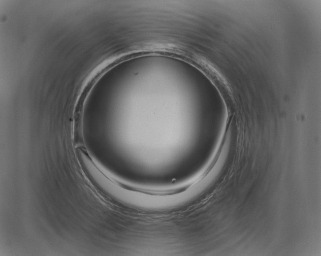 X0000084551324200703091709
