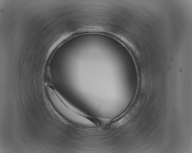 X0000084551325200703091709