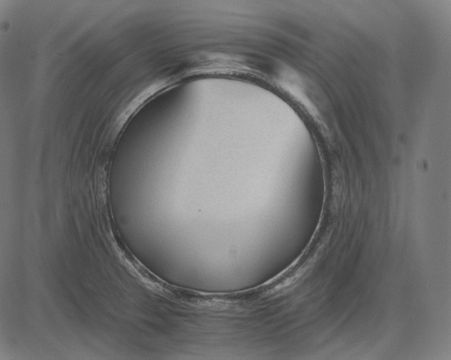X0000084551329200703091709