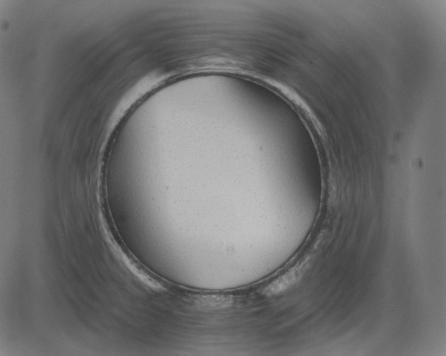 X0000084551333200703091709