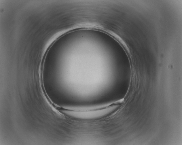 X0000084551343200703091710