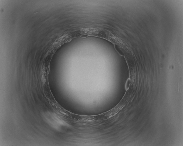 X0000084551346200703091709