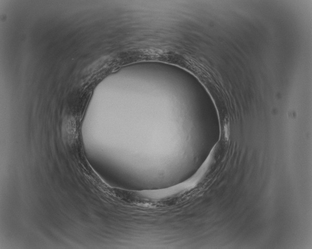 X0000084551347200703091709