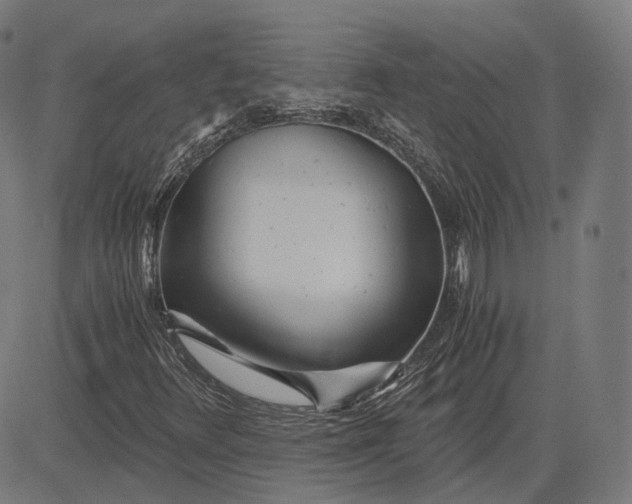 X0000084551348200703091709