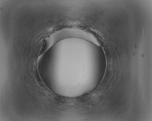 X0000084551349200703091709