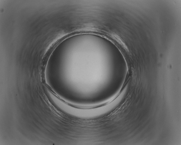 X0000084551356200703091709